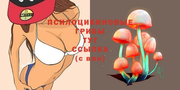 ALPHA PVP Армянск