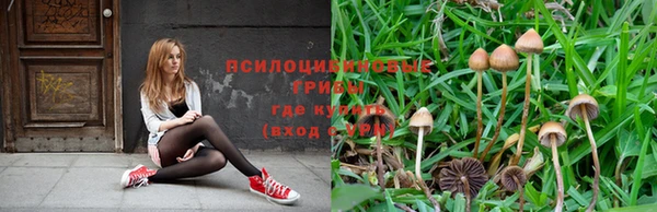 ALPHA PVP Армянск